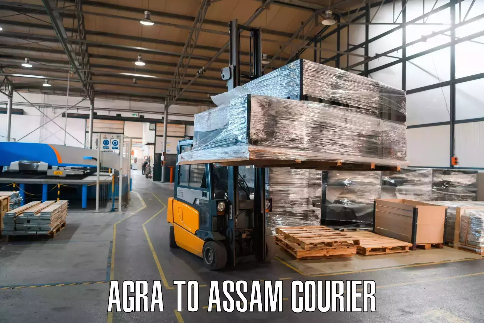 Advanced parcel tracking Agra to Bilasipara
