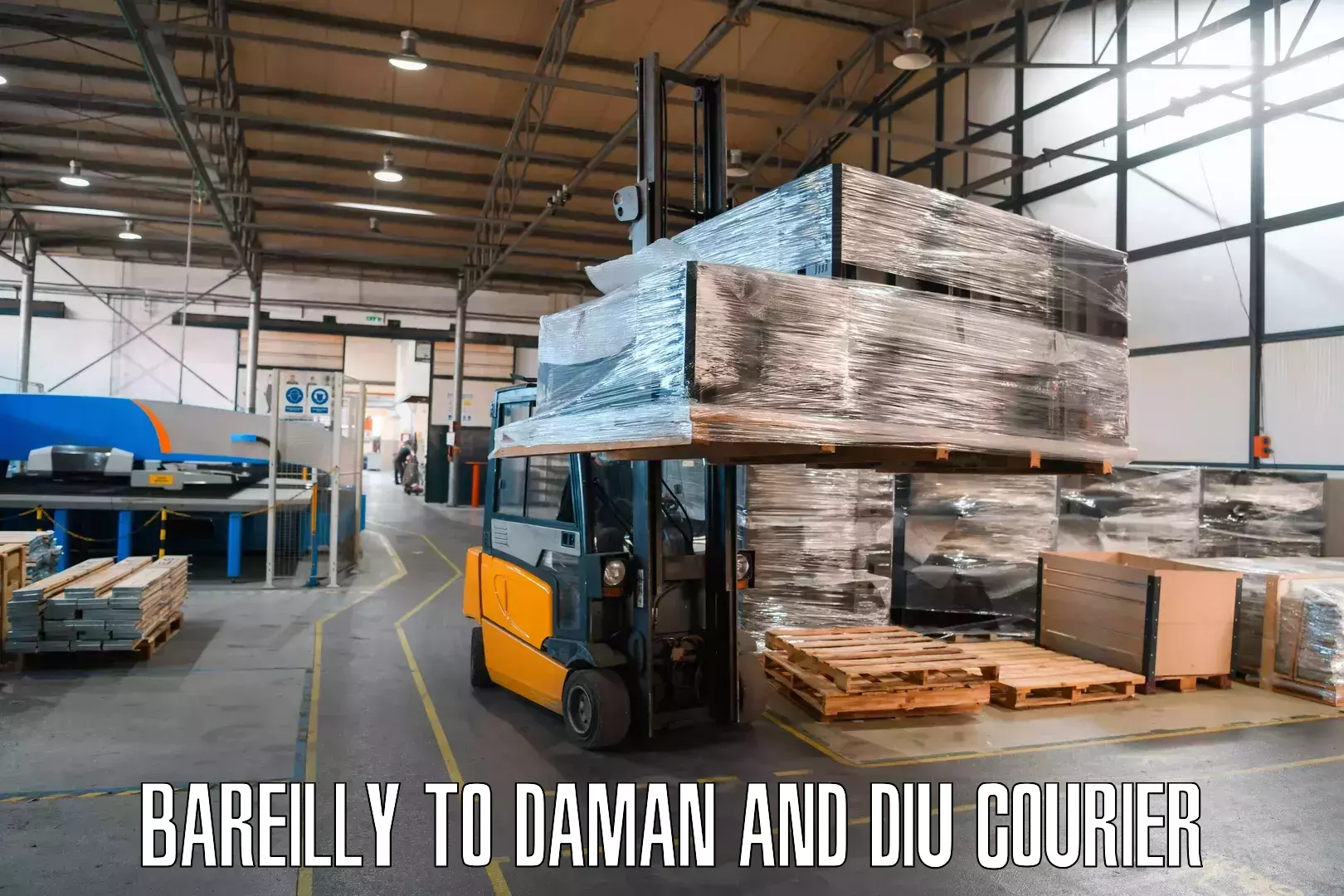 International courier networks Bareilly to Diu