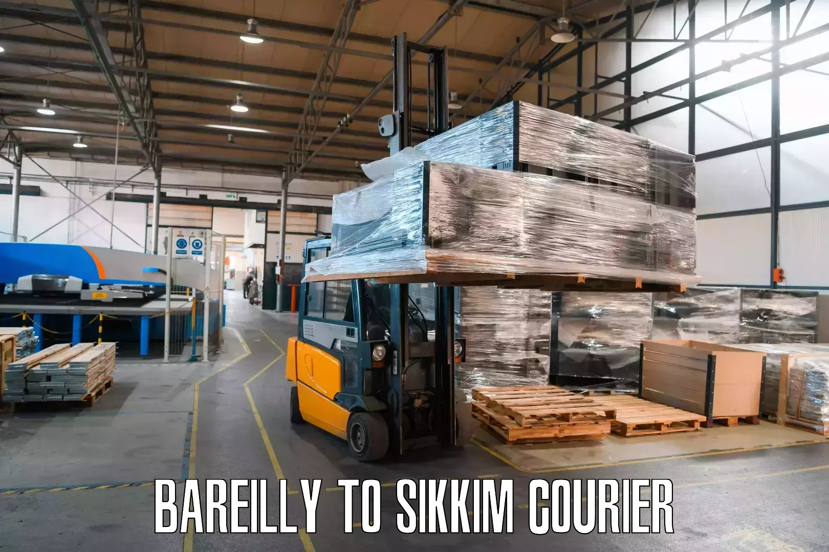 Business shipping needs Bareilly to NIT Sikkim