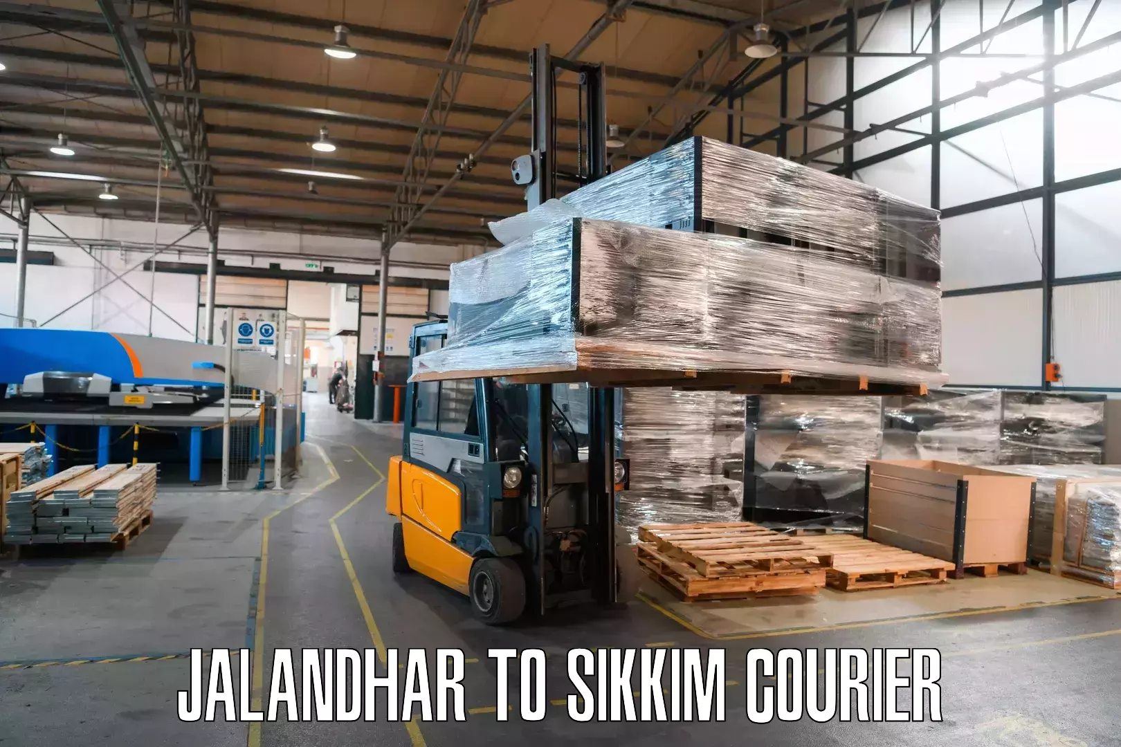Large package courier Jalandhar to Mangan
