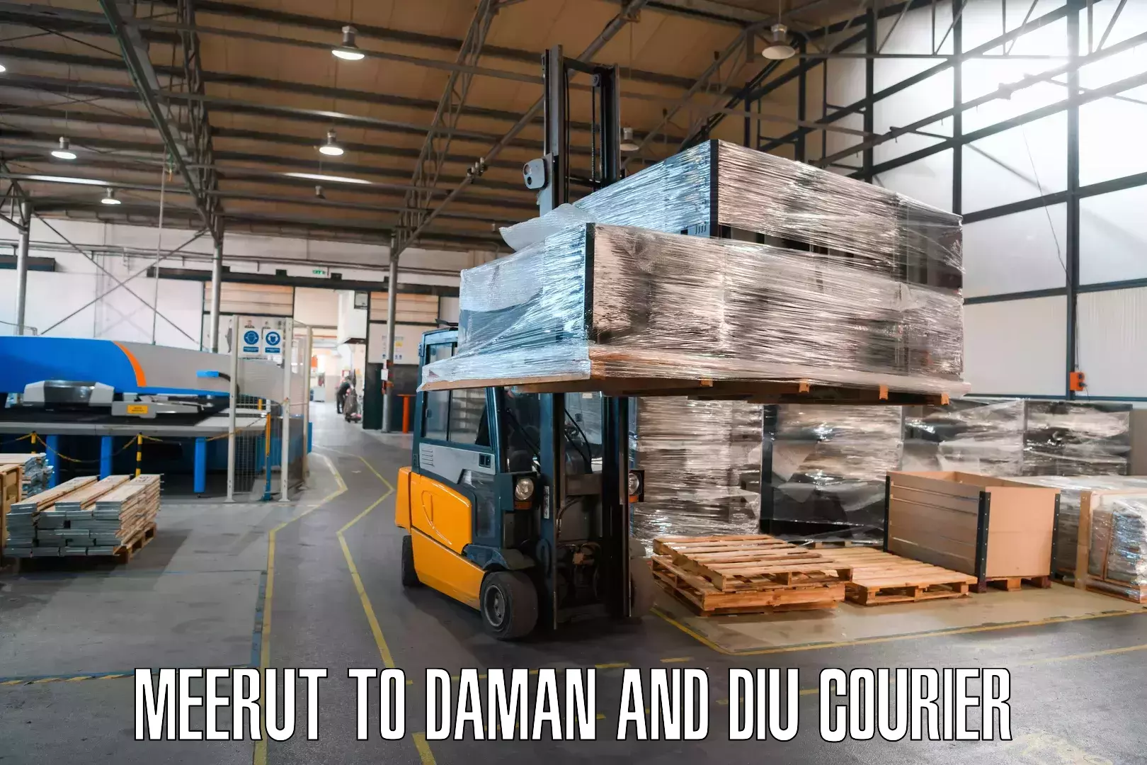 Multi-package shipping Meerut to Diu