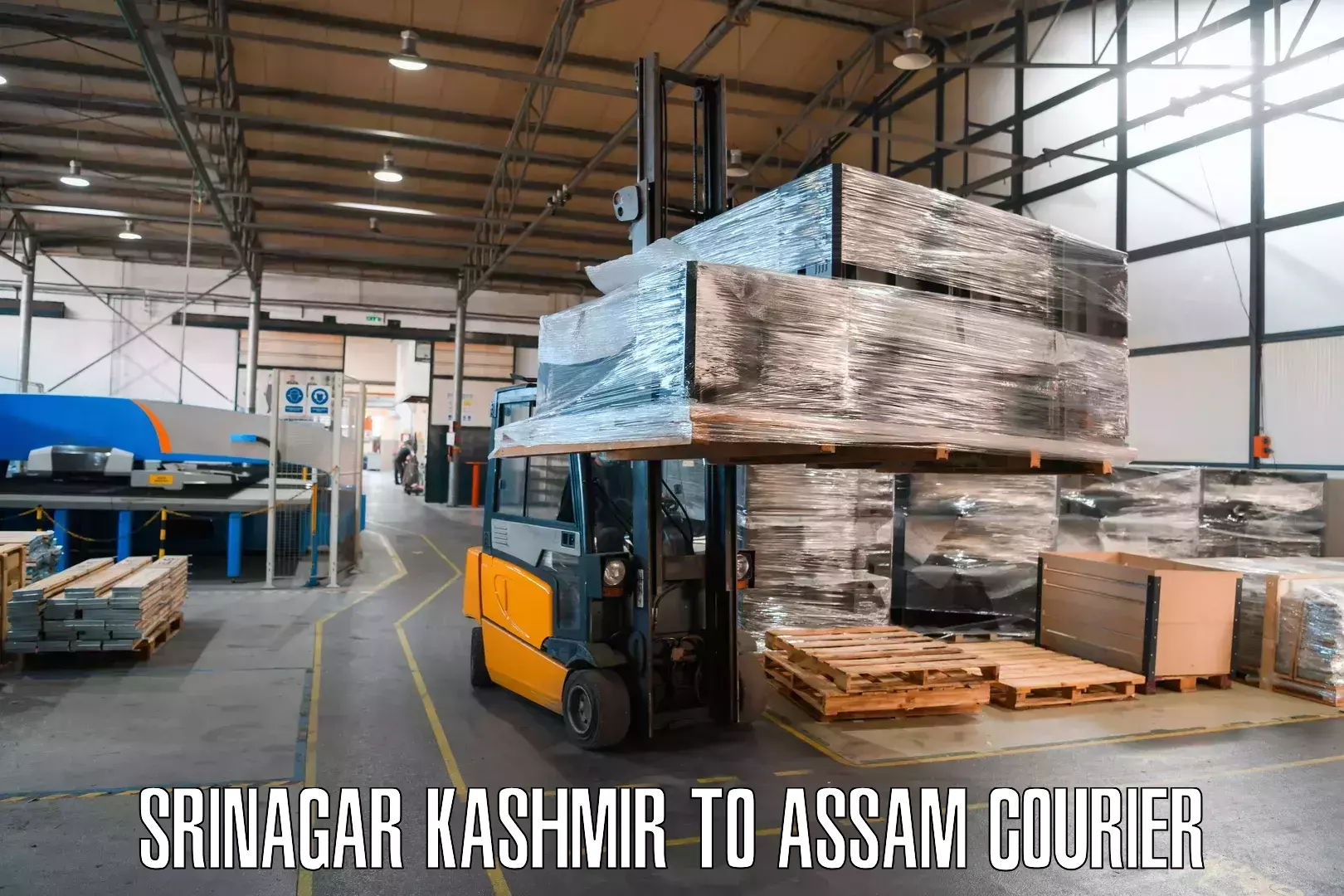 High value parcel delivery Srinagar Kashmir to Gogamukh