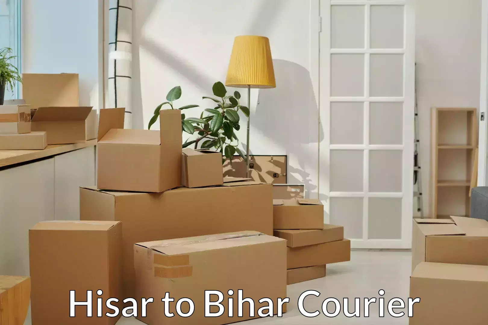 Customized household moving in Hisar to Darbhanga