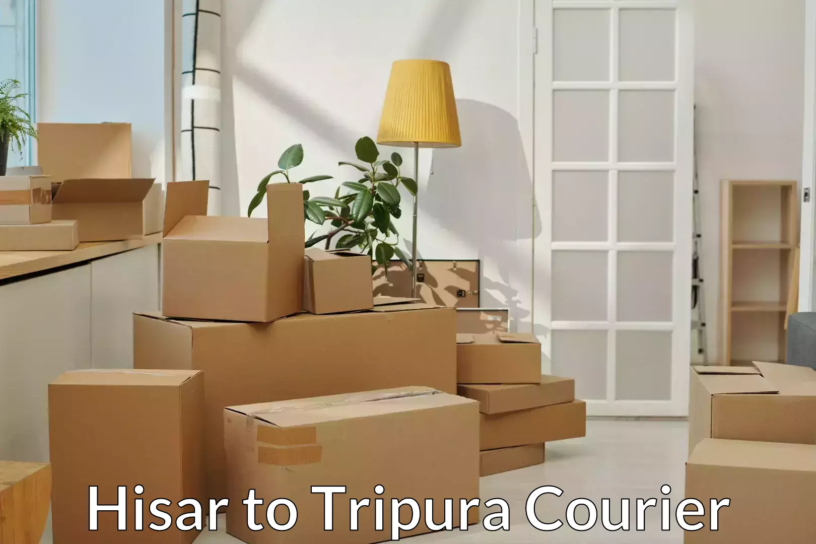Full home moving services Hisar to West Tripura