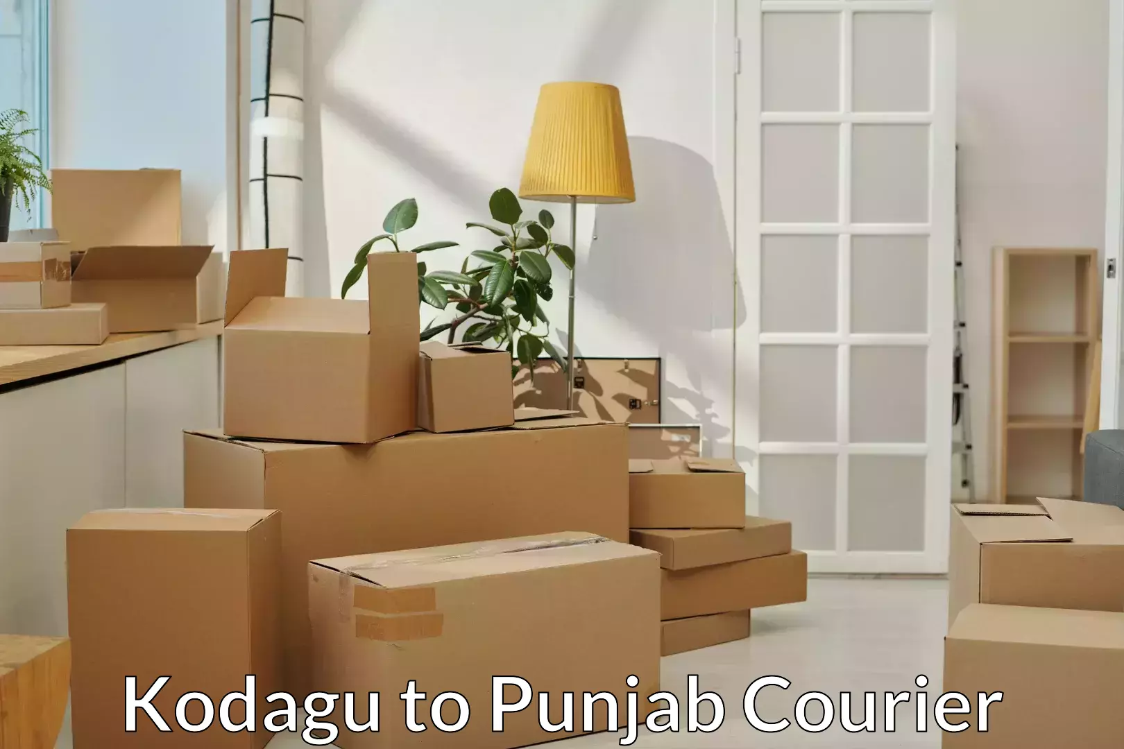 Professional moving company Kodagu to Punjab