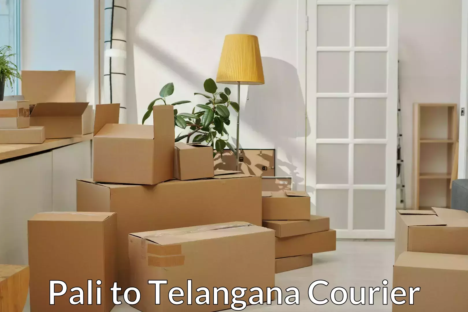 Professional moving assistance Pali to Telangana