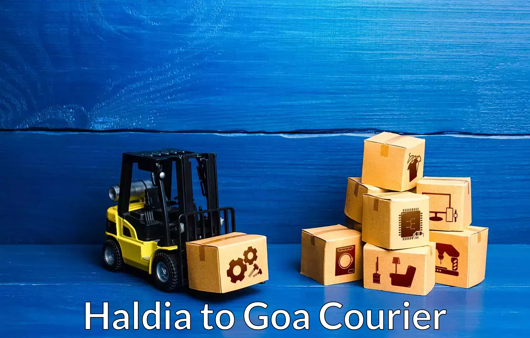 Residential moving experts in Haldia to Ponda