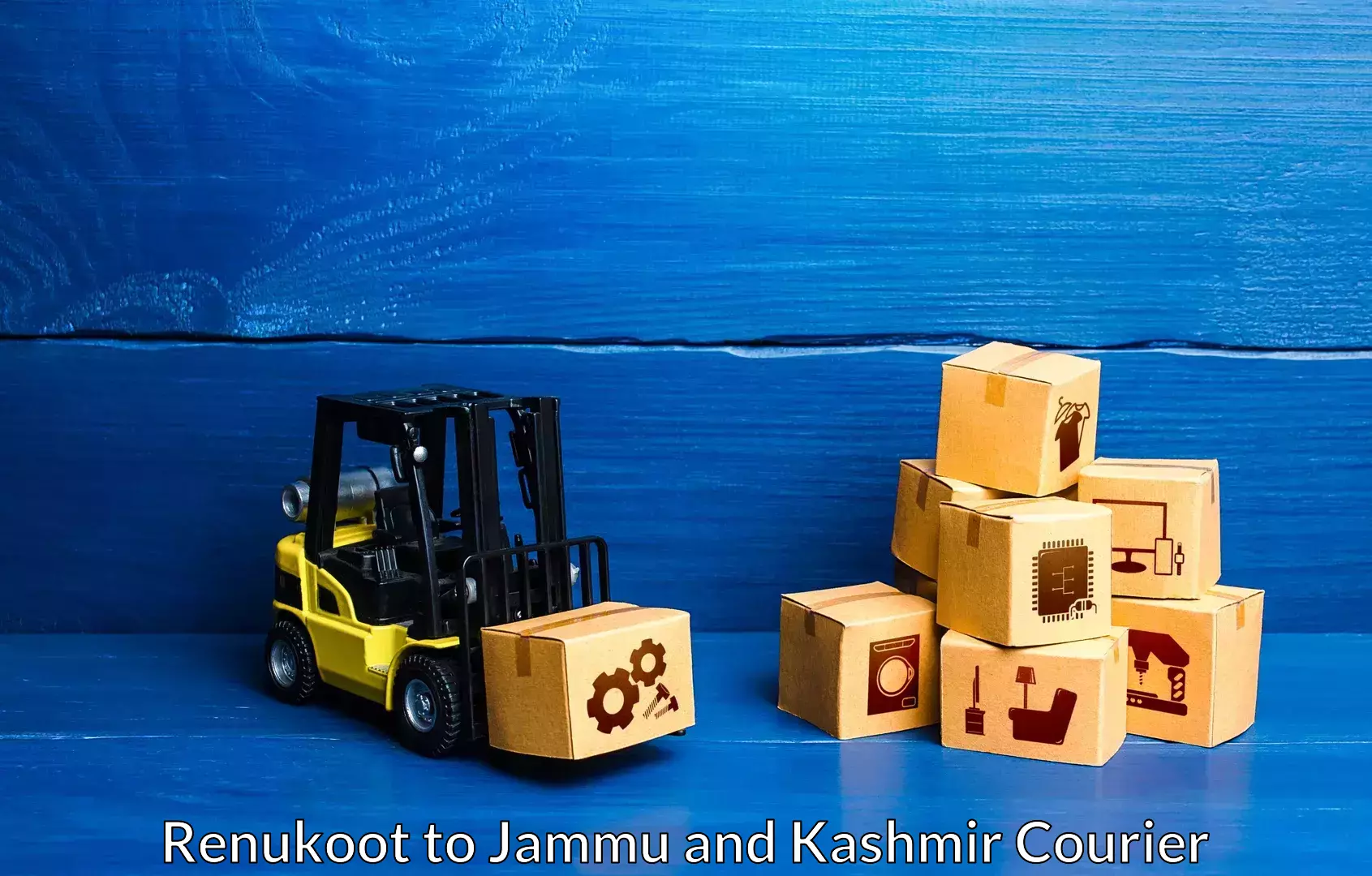 Professional furniture movers in Renukoot to Jammu and Kashmir