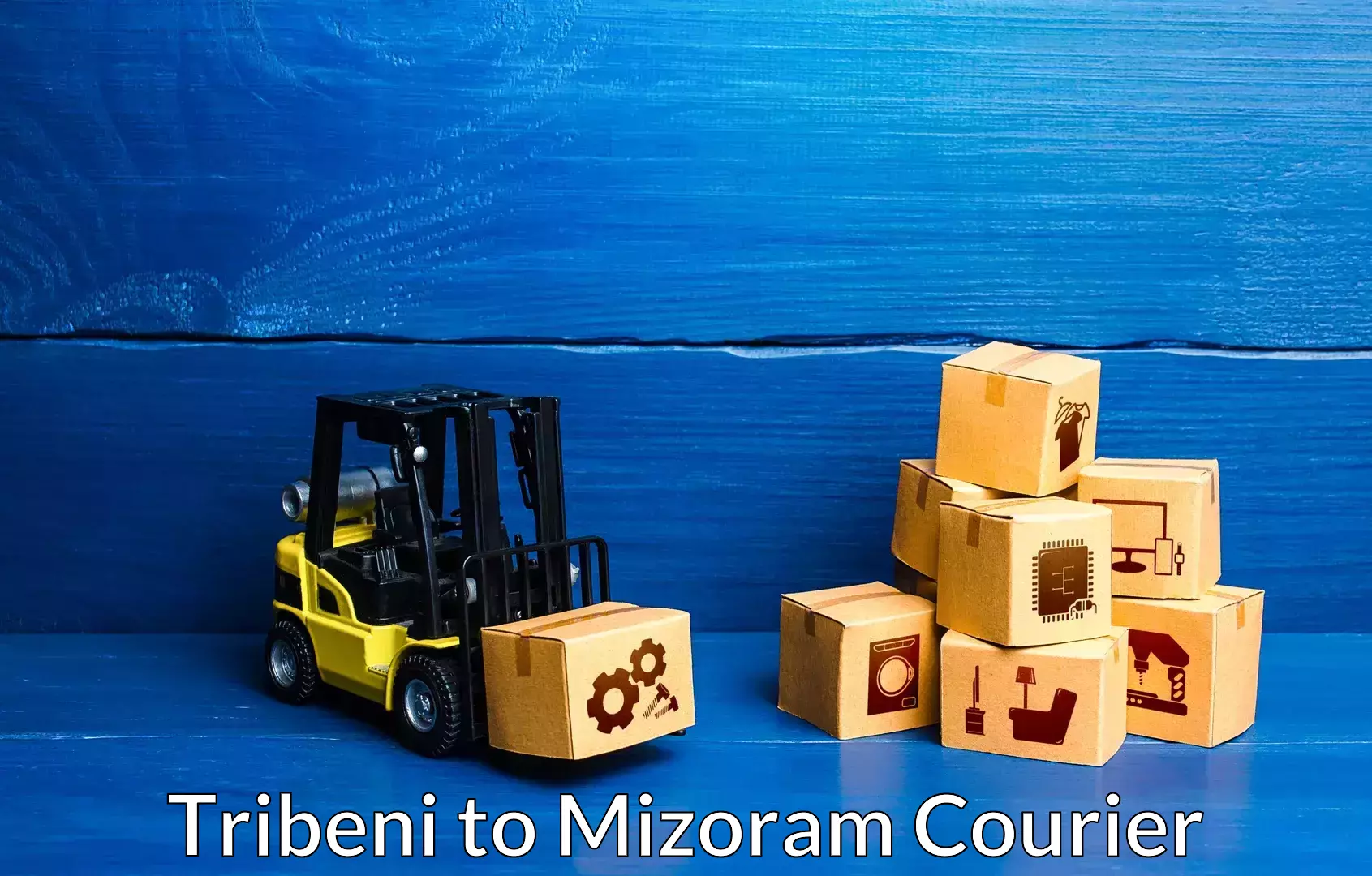 Cost-effective moving solutions Tribeni to Thenzawl