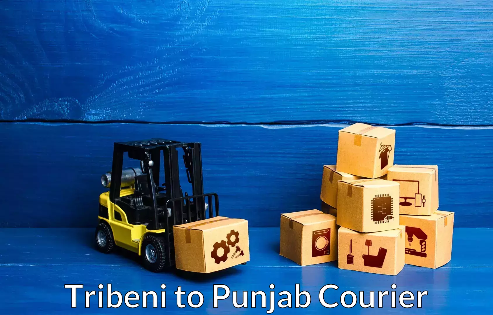 Household moving solutions Tribeni to Thapar Institute of Engineering and Technology Patiala