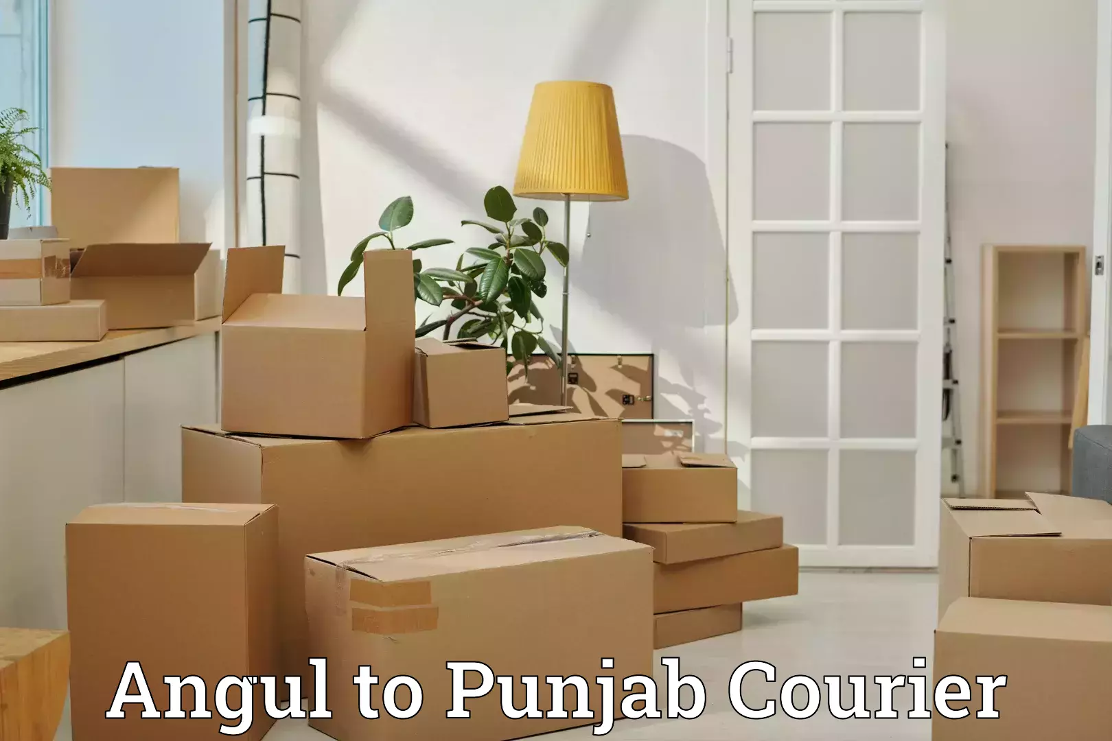 Luggage shipping specialists Angul to Dhilwan