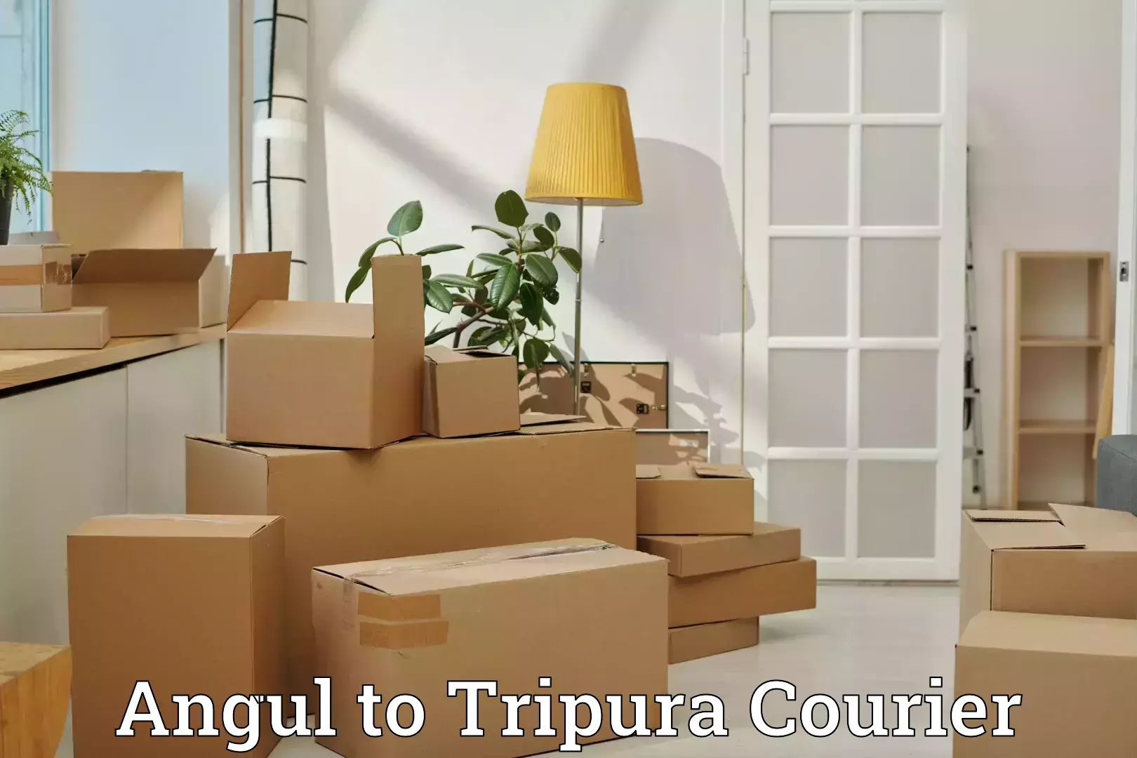 Instant baggage transport quote Angul to Agartala