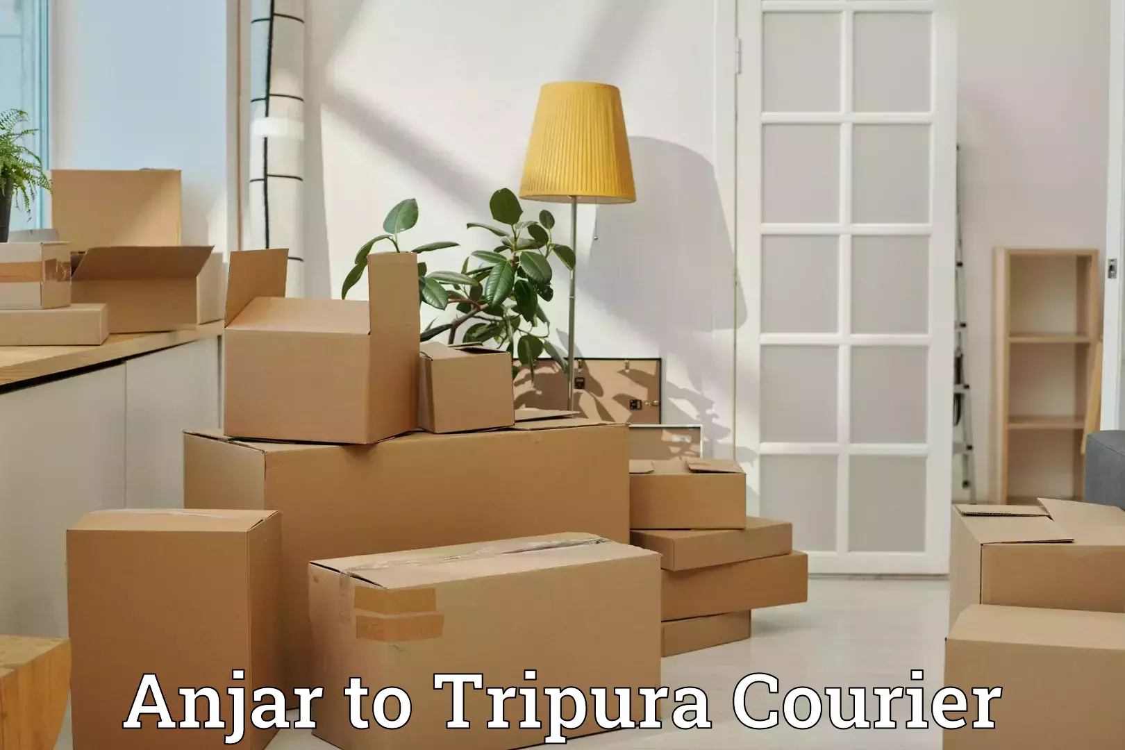 Luggage shipping logistics in Anjar to Tripura