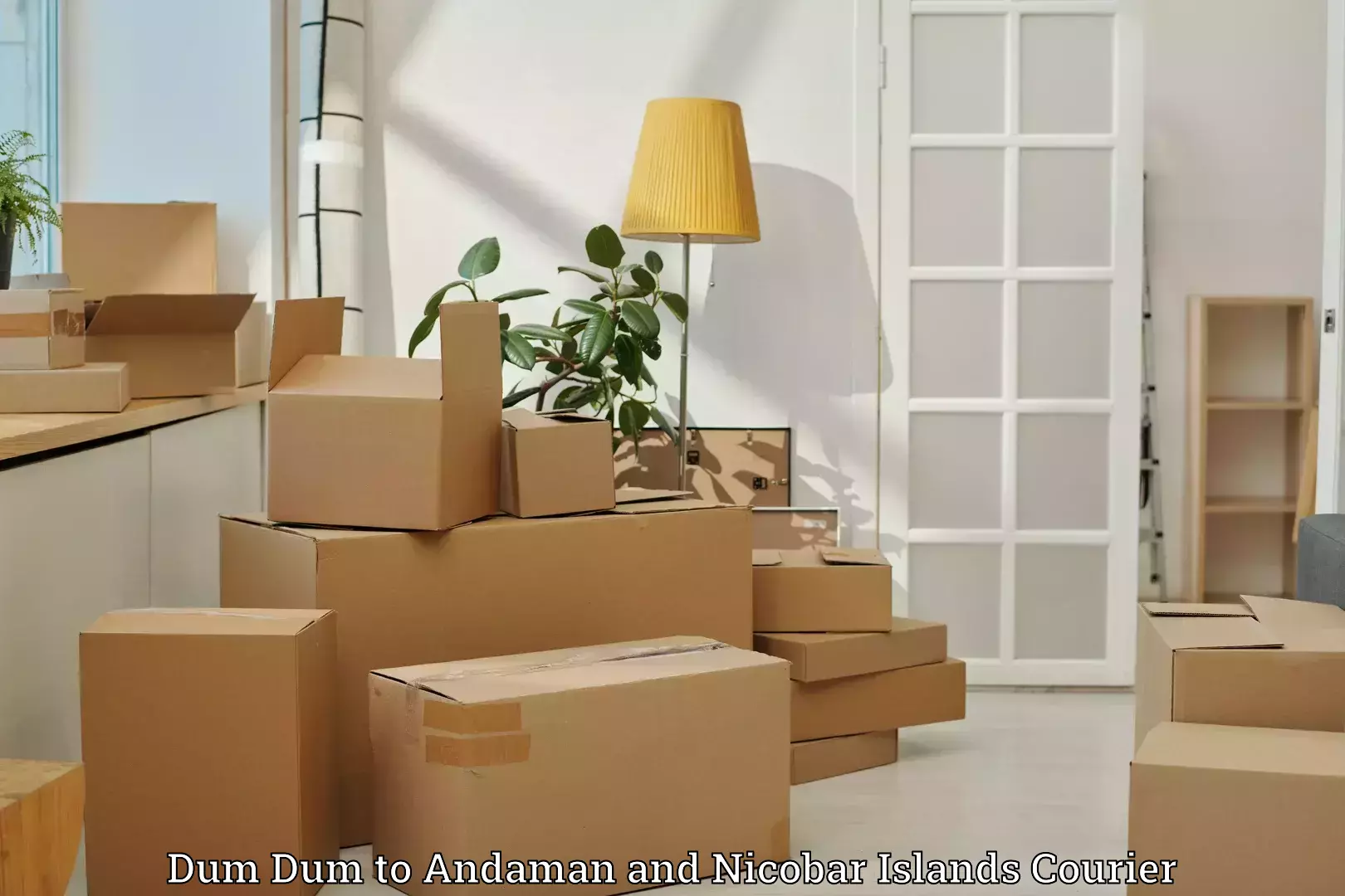Online luggage shipping Dum Dum to Nicobar