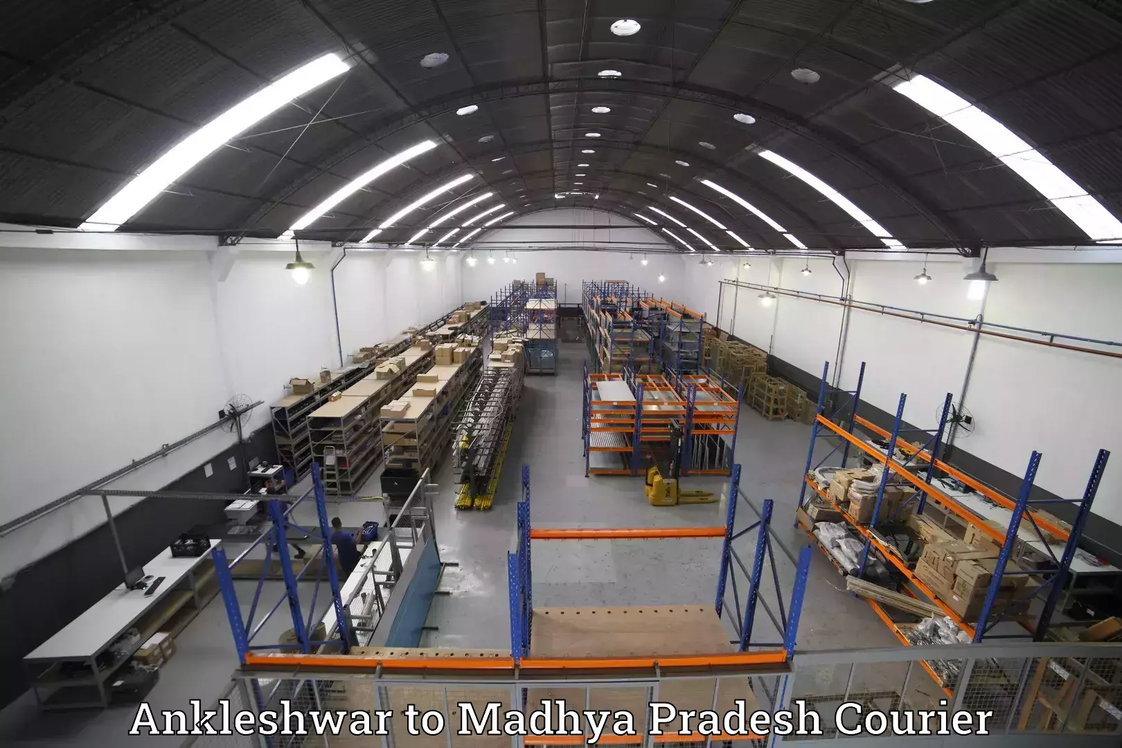 Efficient baggage courier system in Ankleshwar to Maksudangarh