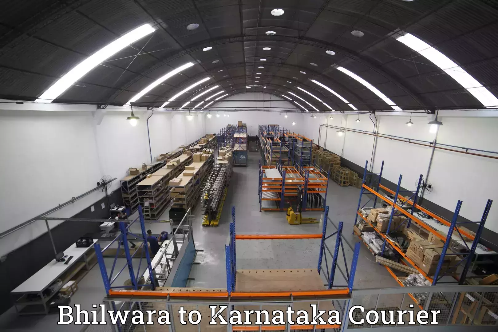 Baggage shipping experts Bhilwara to Karnataka