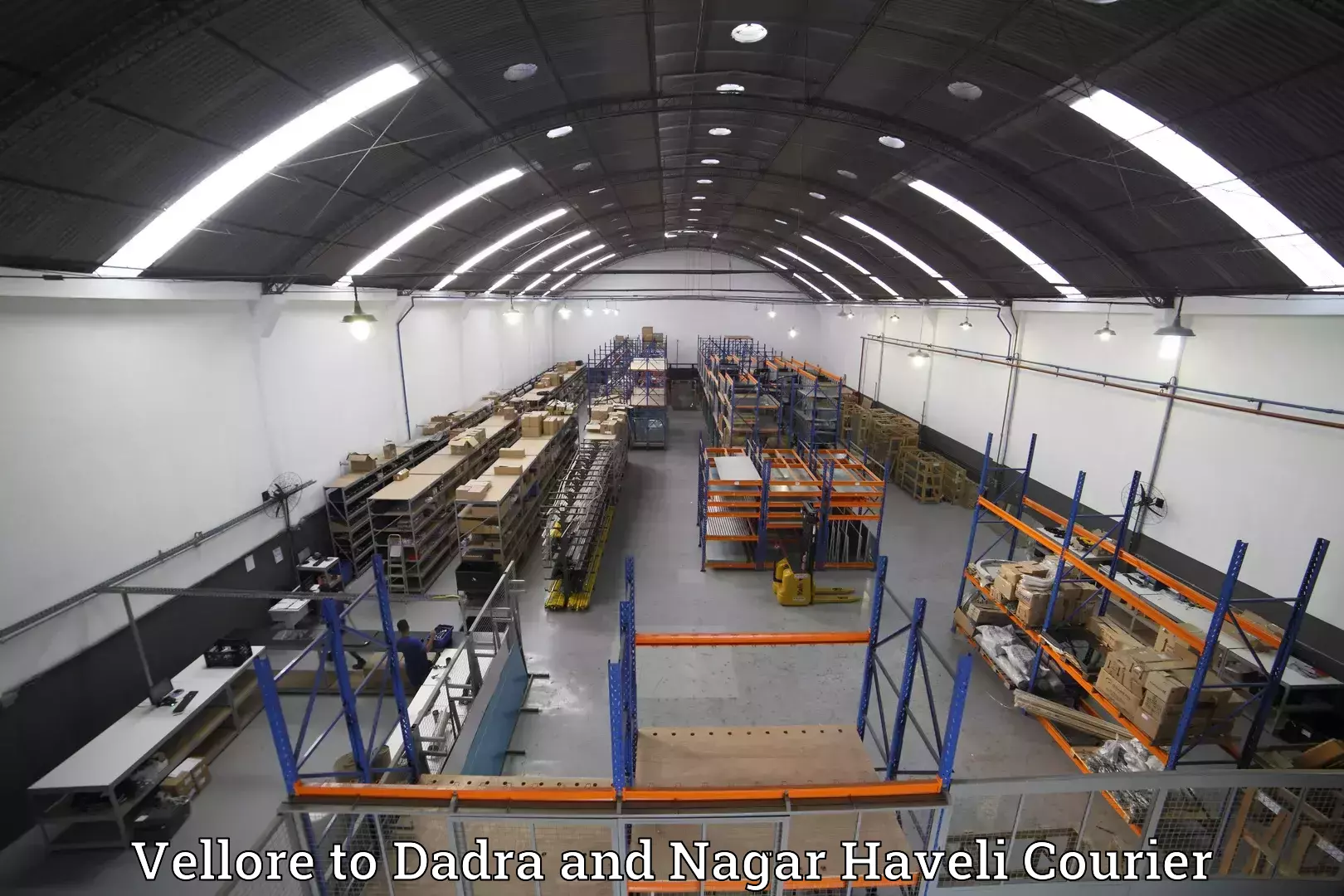 Professional baggage transport in Vellore to Dadra and Nagar Haveli