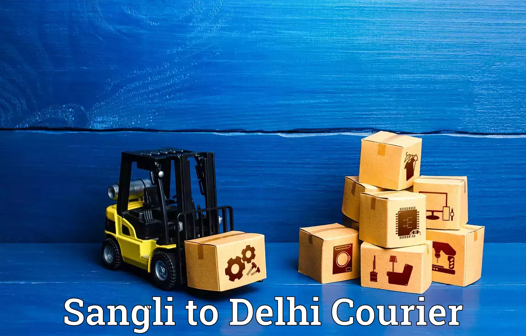 Discounted baggage transport in Sangli to Delhi