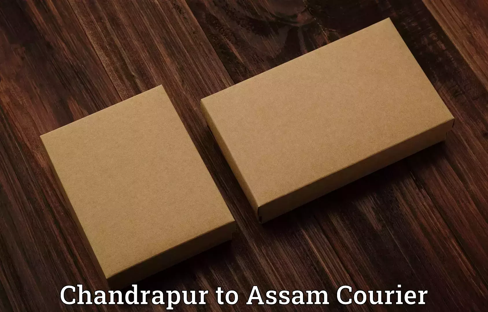 Luggage shipping service Chandrapur to Assam