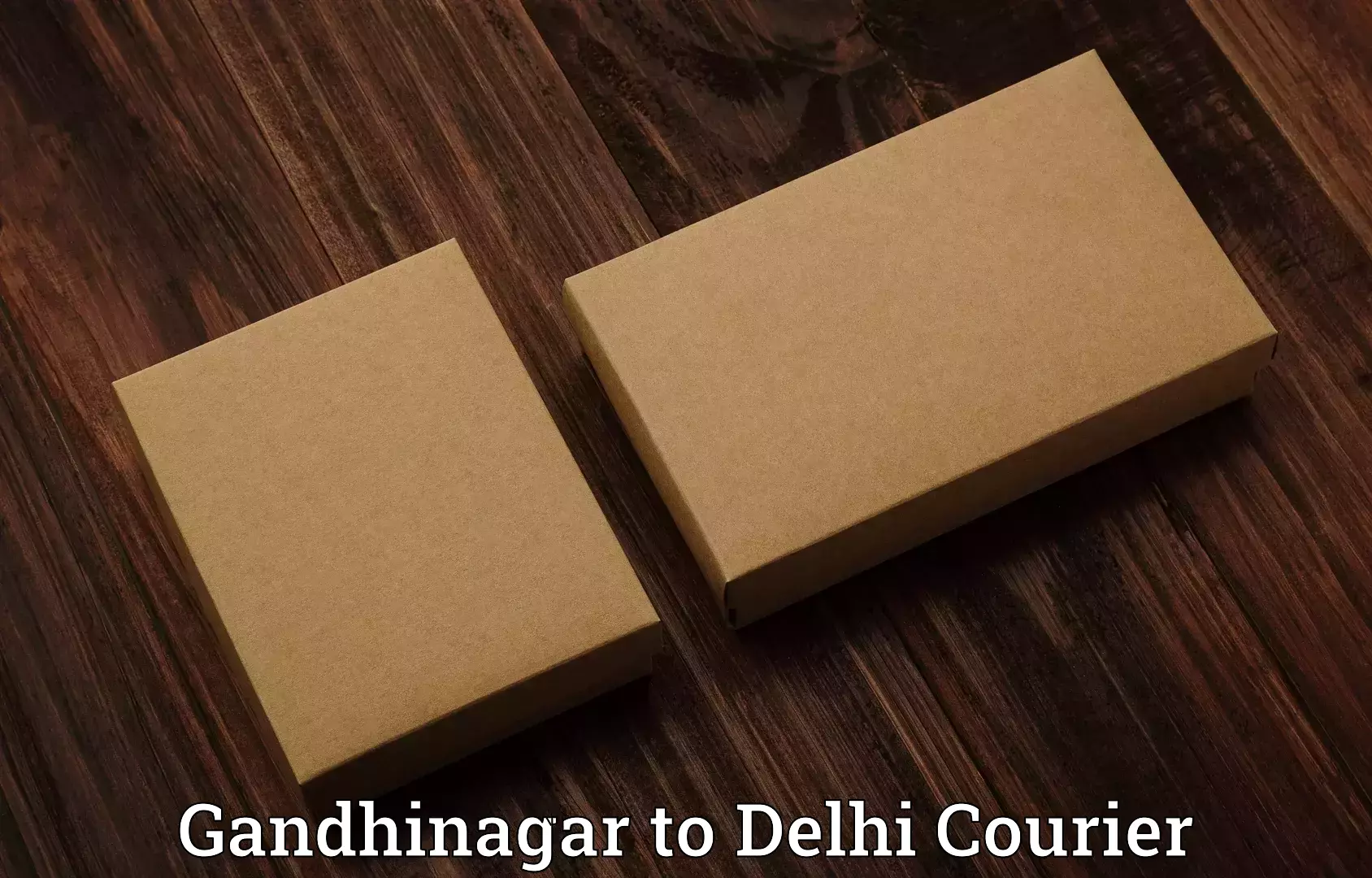 Baggage courier solutions Gandhinagar to Delhi