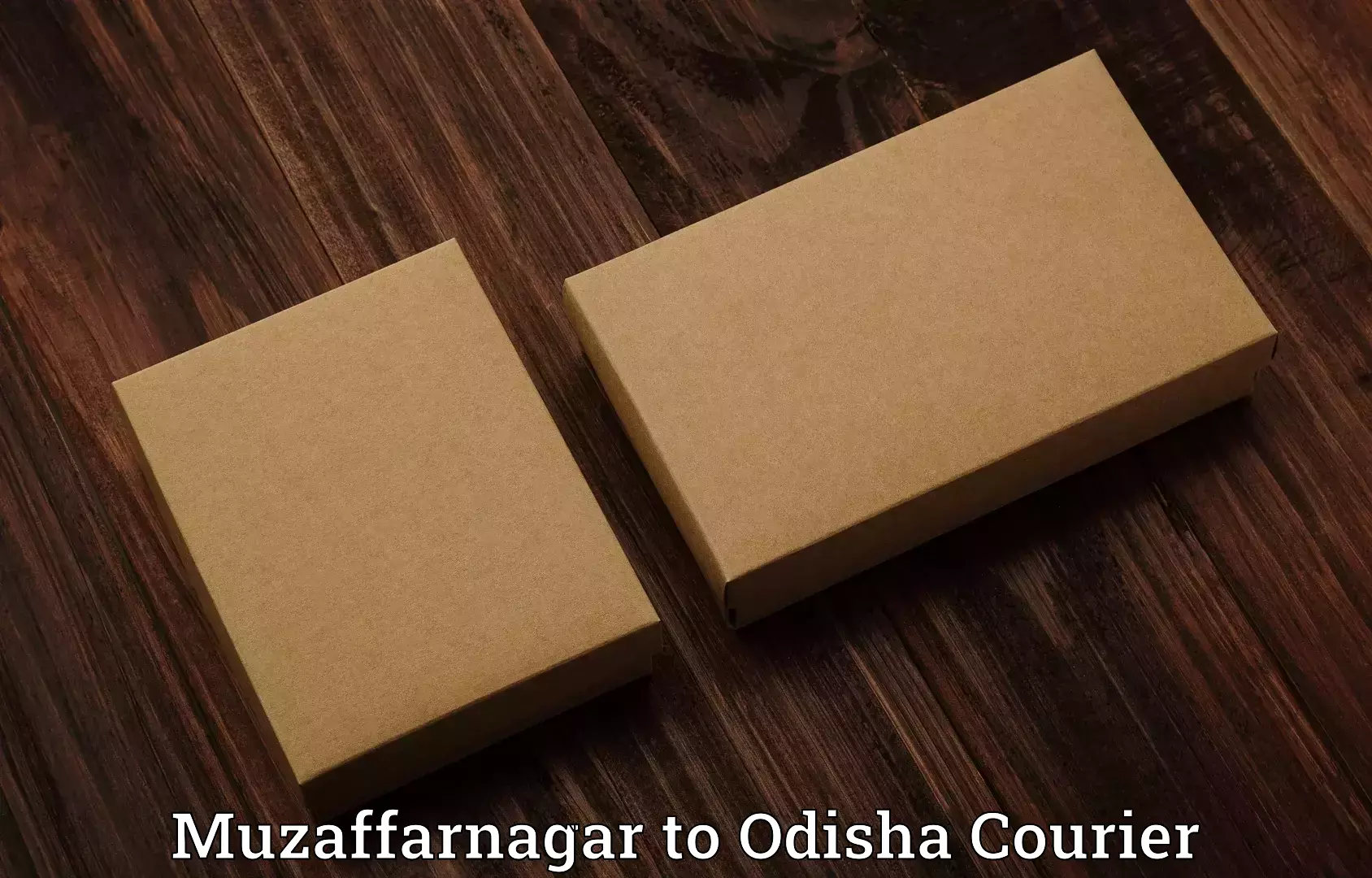 Premium luggage courier Muzaffarnagar to Baisinga