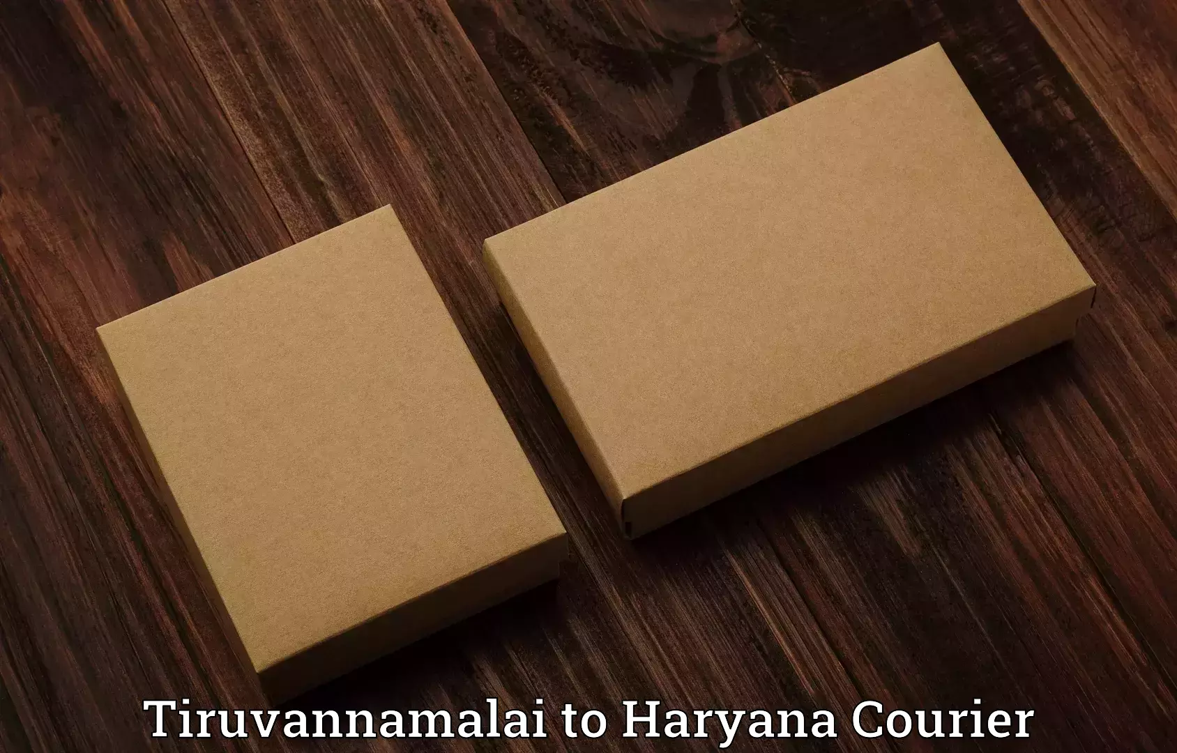 Same day luggage service Tiruvannamalai to Haryana