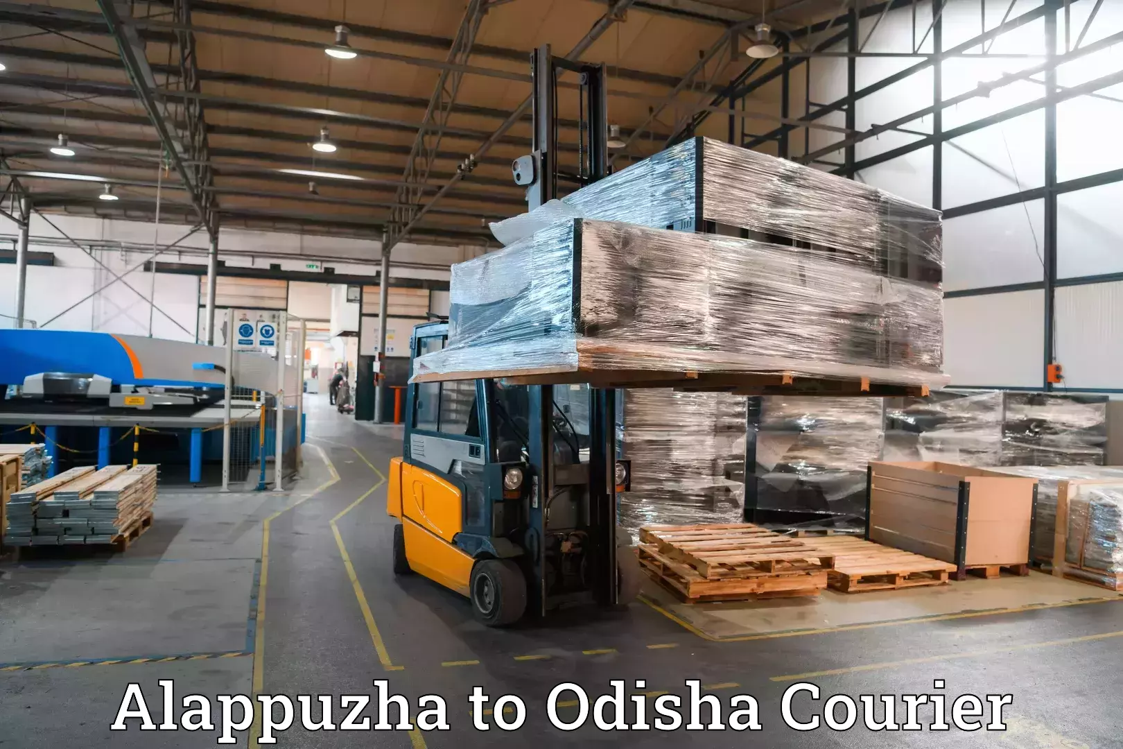 Luggage storage and delivery Alappuzha to Odisha