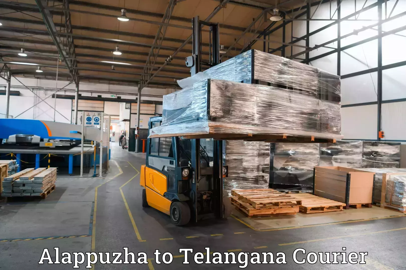 Hassle-free luggage shipping Alappuzha to Secunderabad