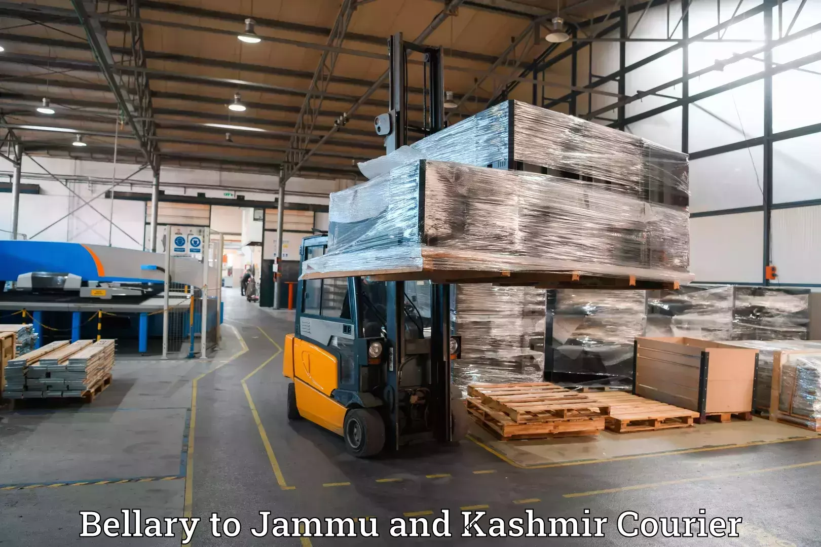 Luggage shipping management Bellary to Rajouri