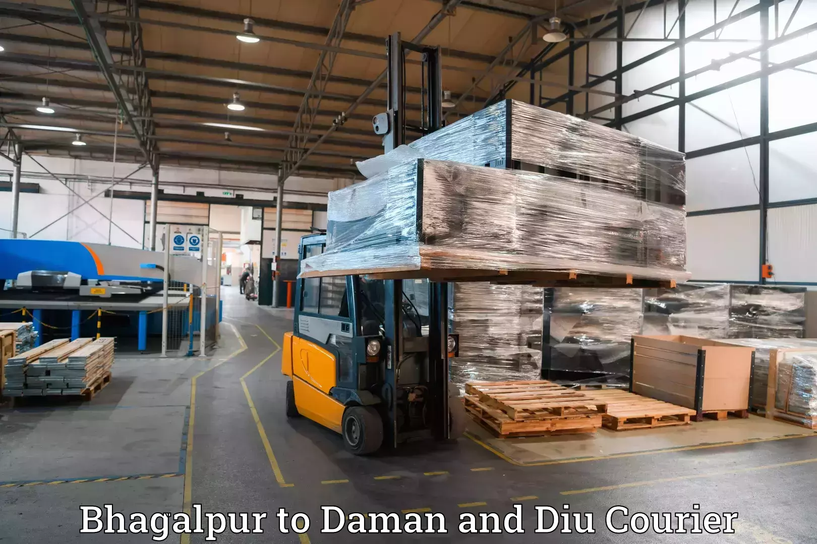 Luggage transport operations in Bhagalpur to Daman and Diu