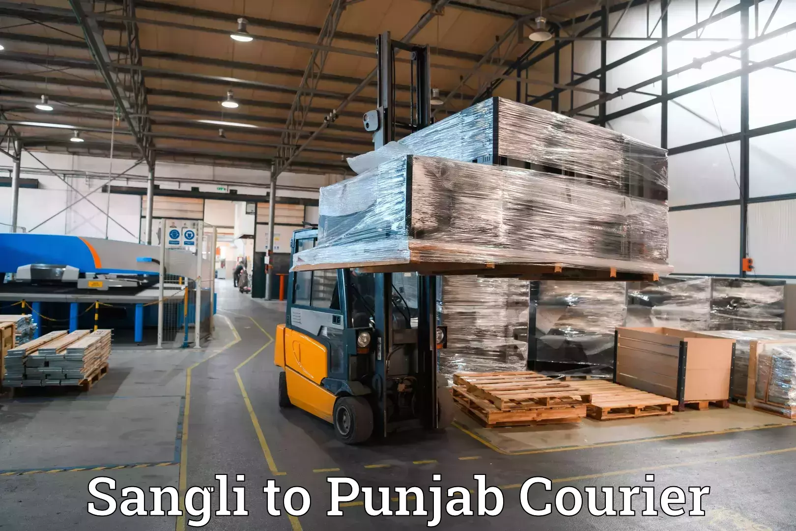 Baggage transport management Sangli to Punjab