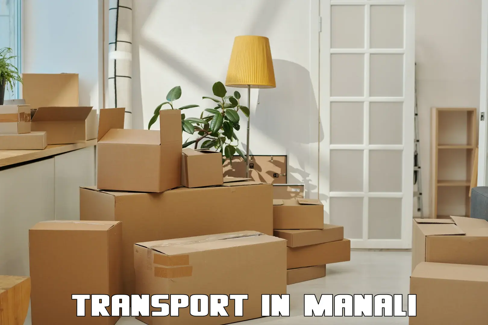 Air freight transport services in Manali