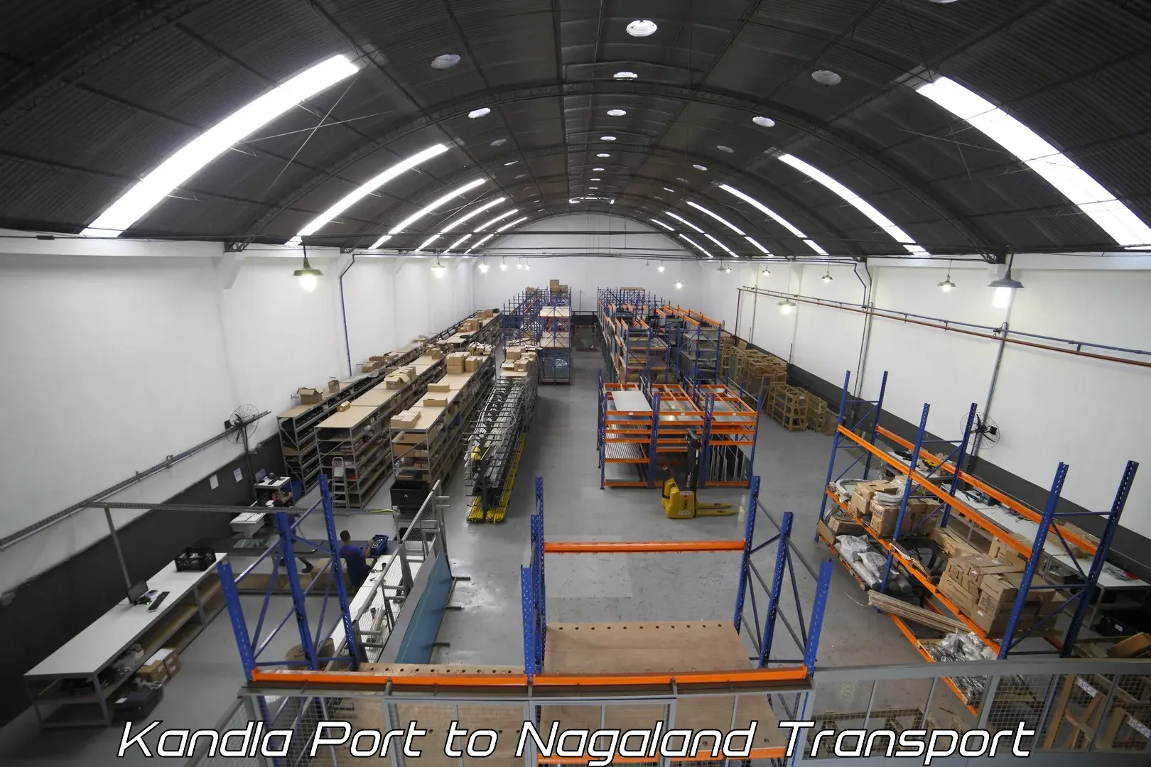 Air freight transport services Kandla Port to Peren