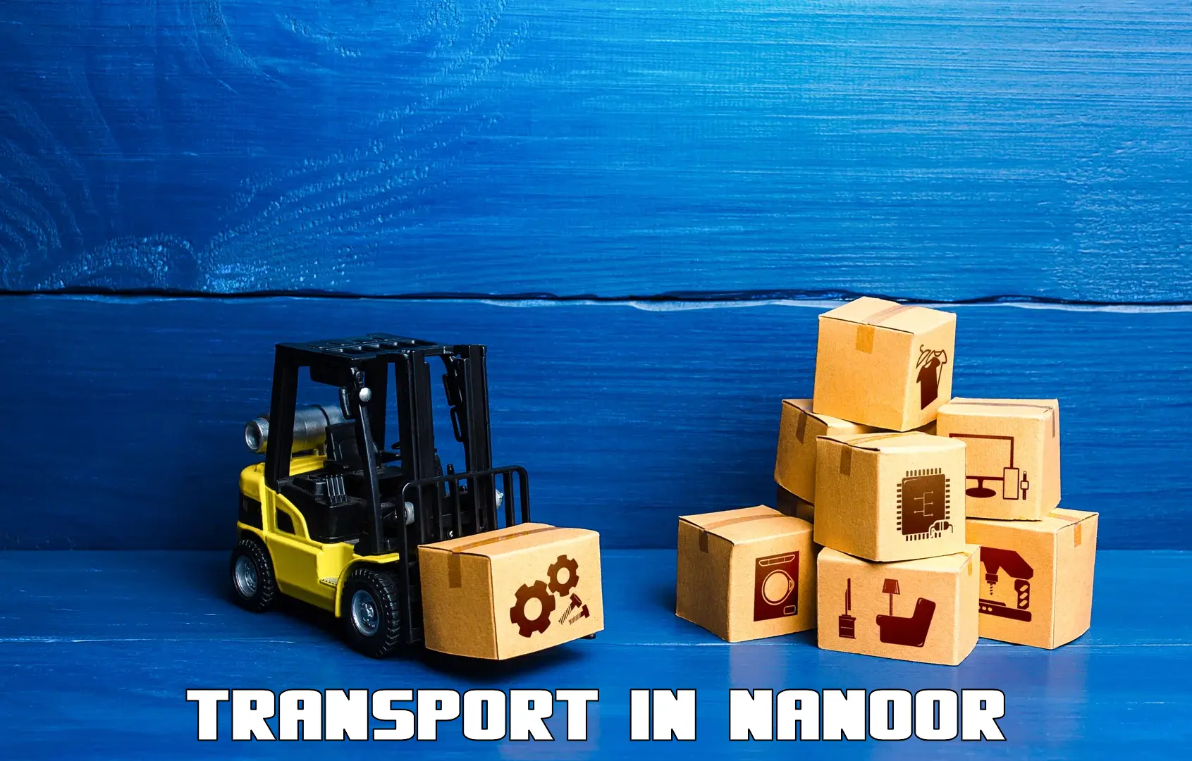 Domestic transport services in Nanoor