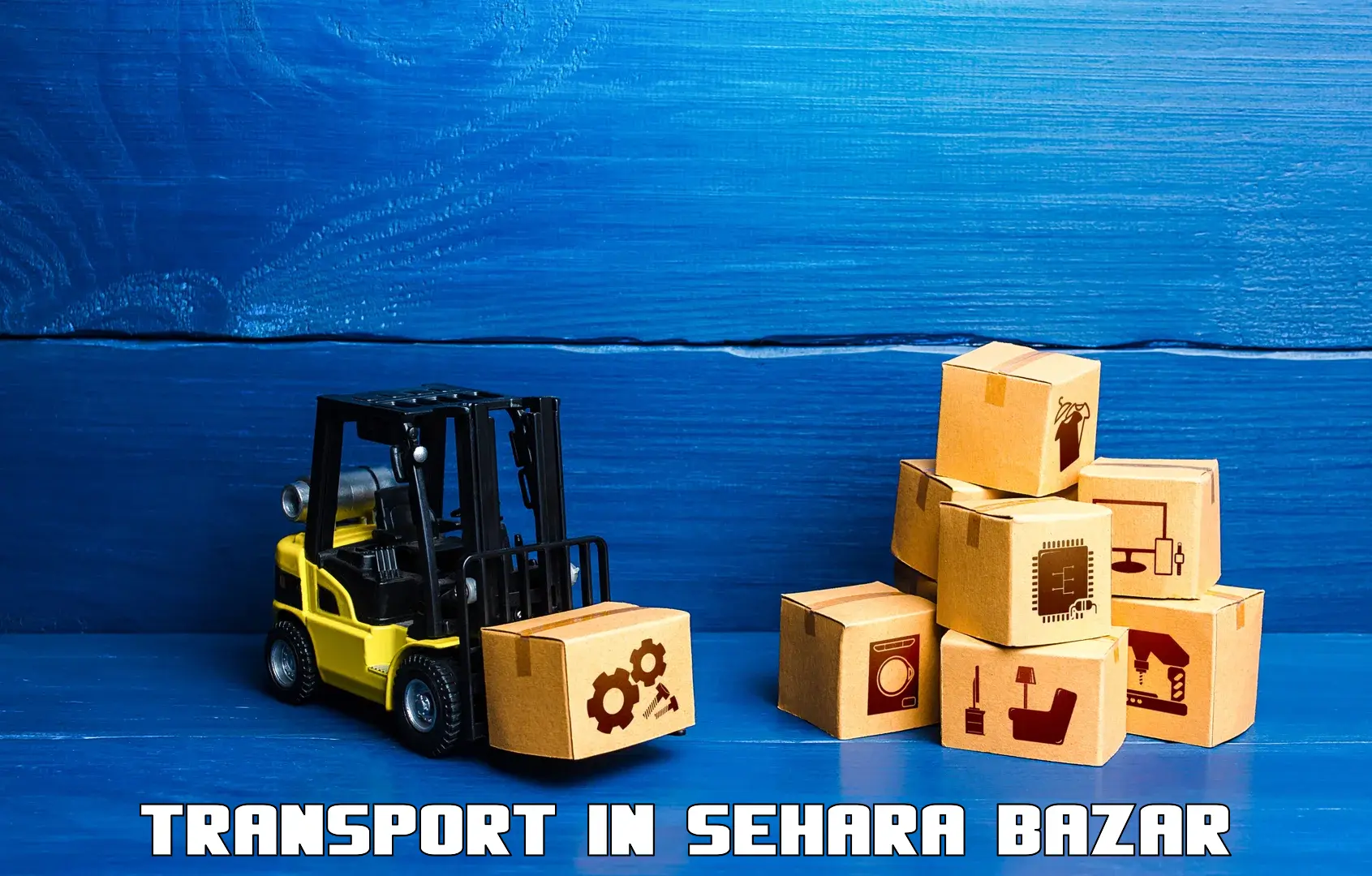Container transportation services in Sehara Bazar