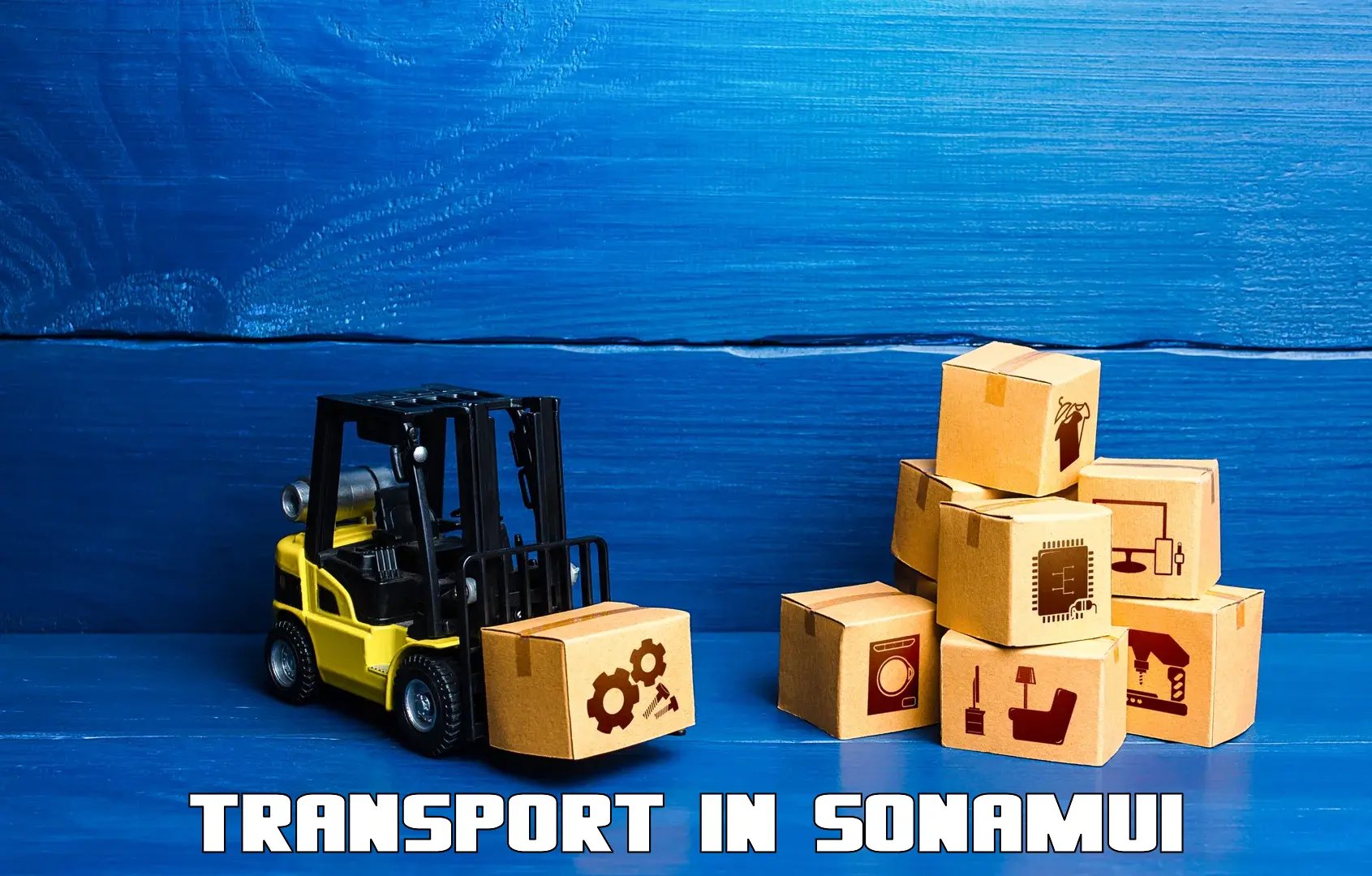 Part load transport service in India in Sonamui