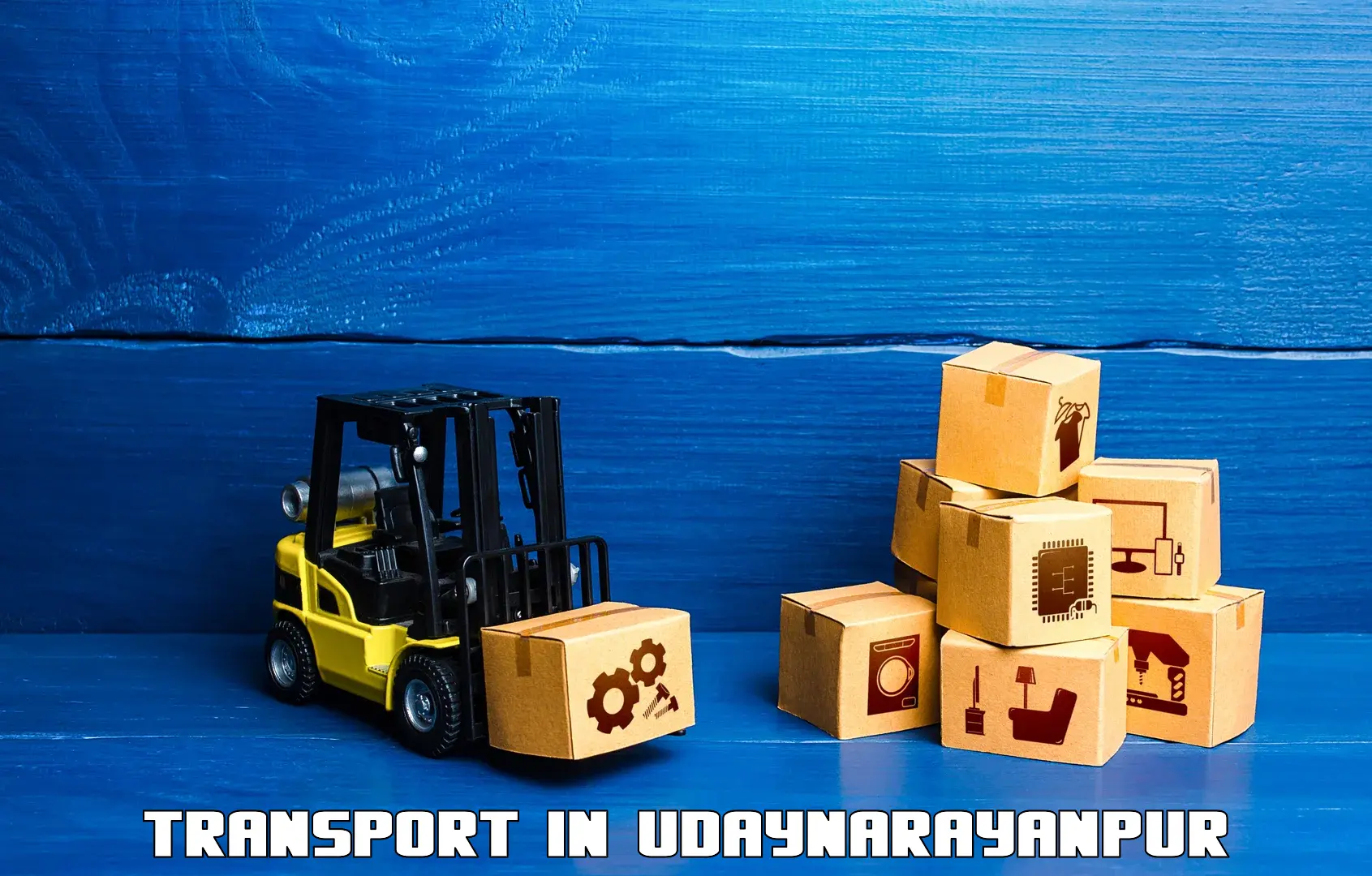 Air cargo transport services in Udaynarayanpur