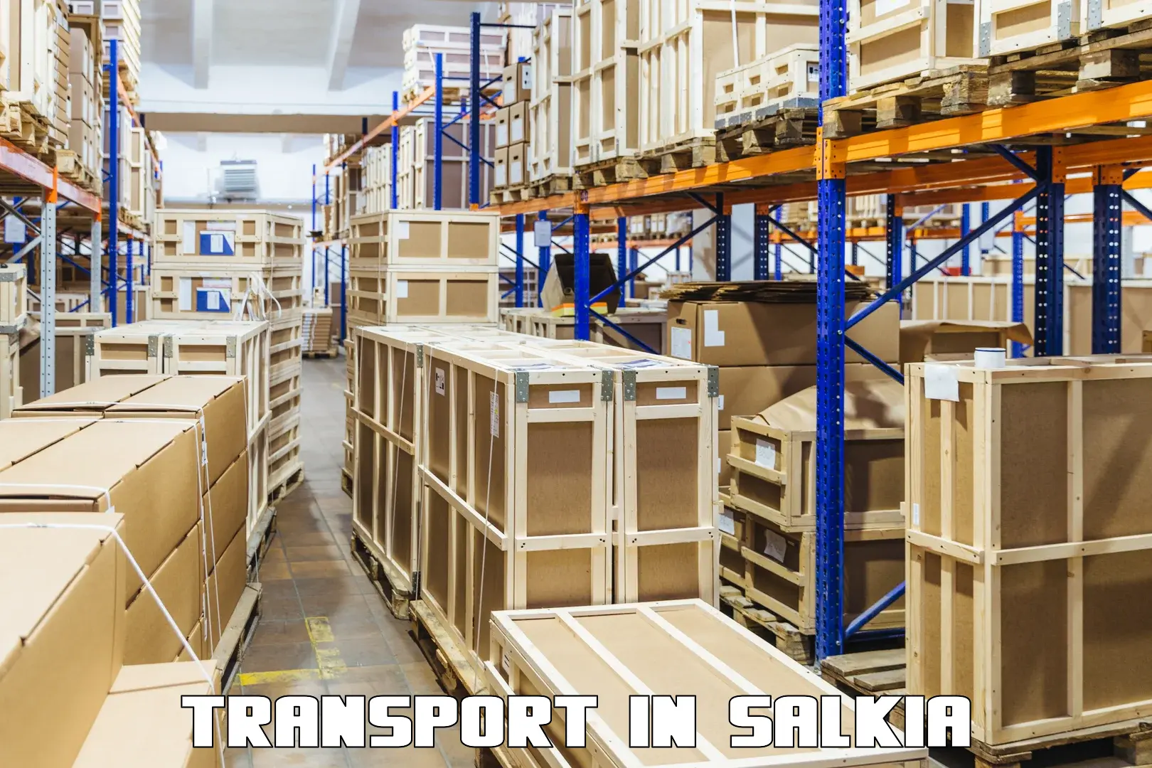 Cargo transportation services in Salkia