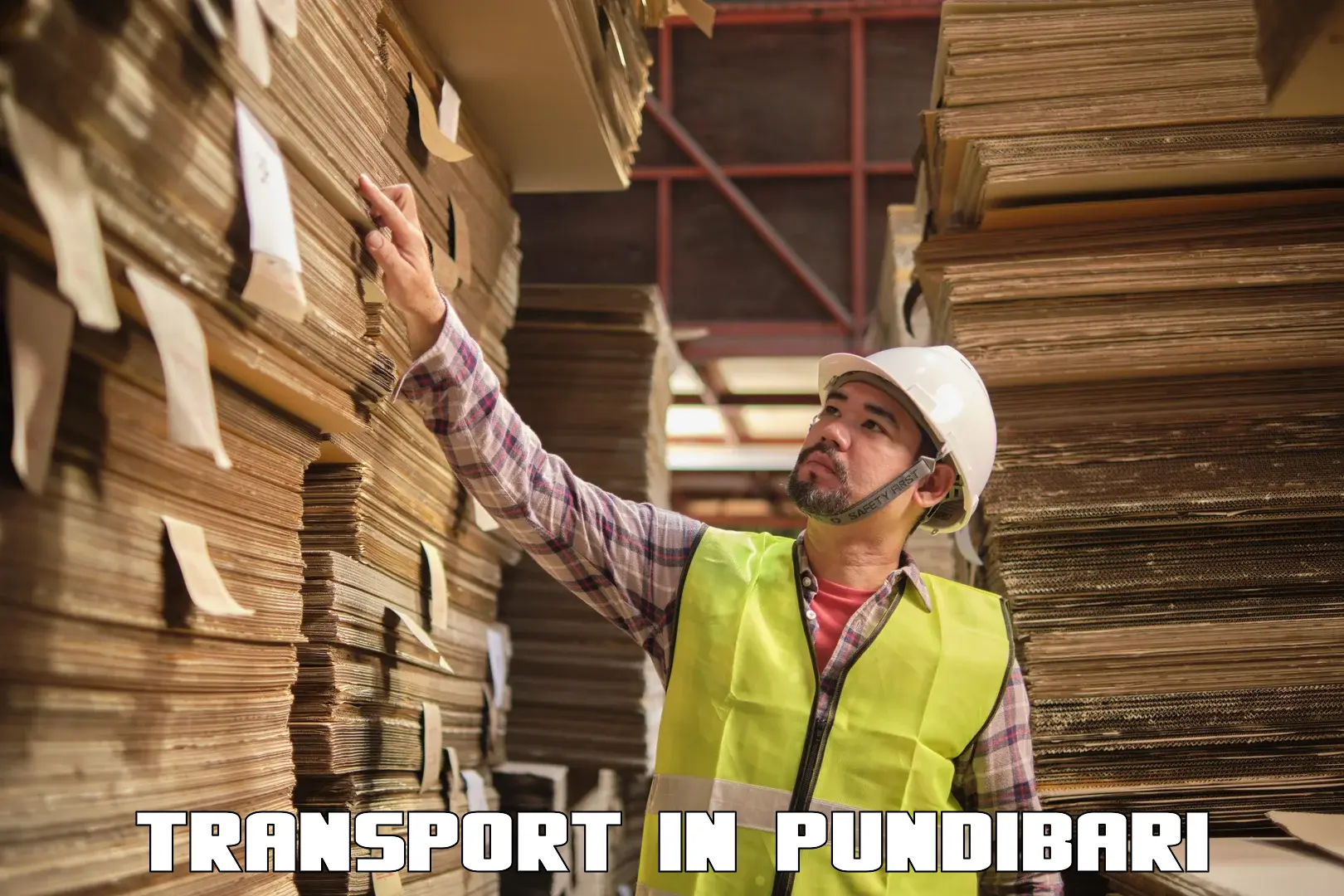 Online transport in Pundibari