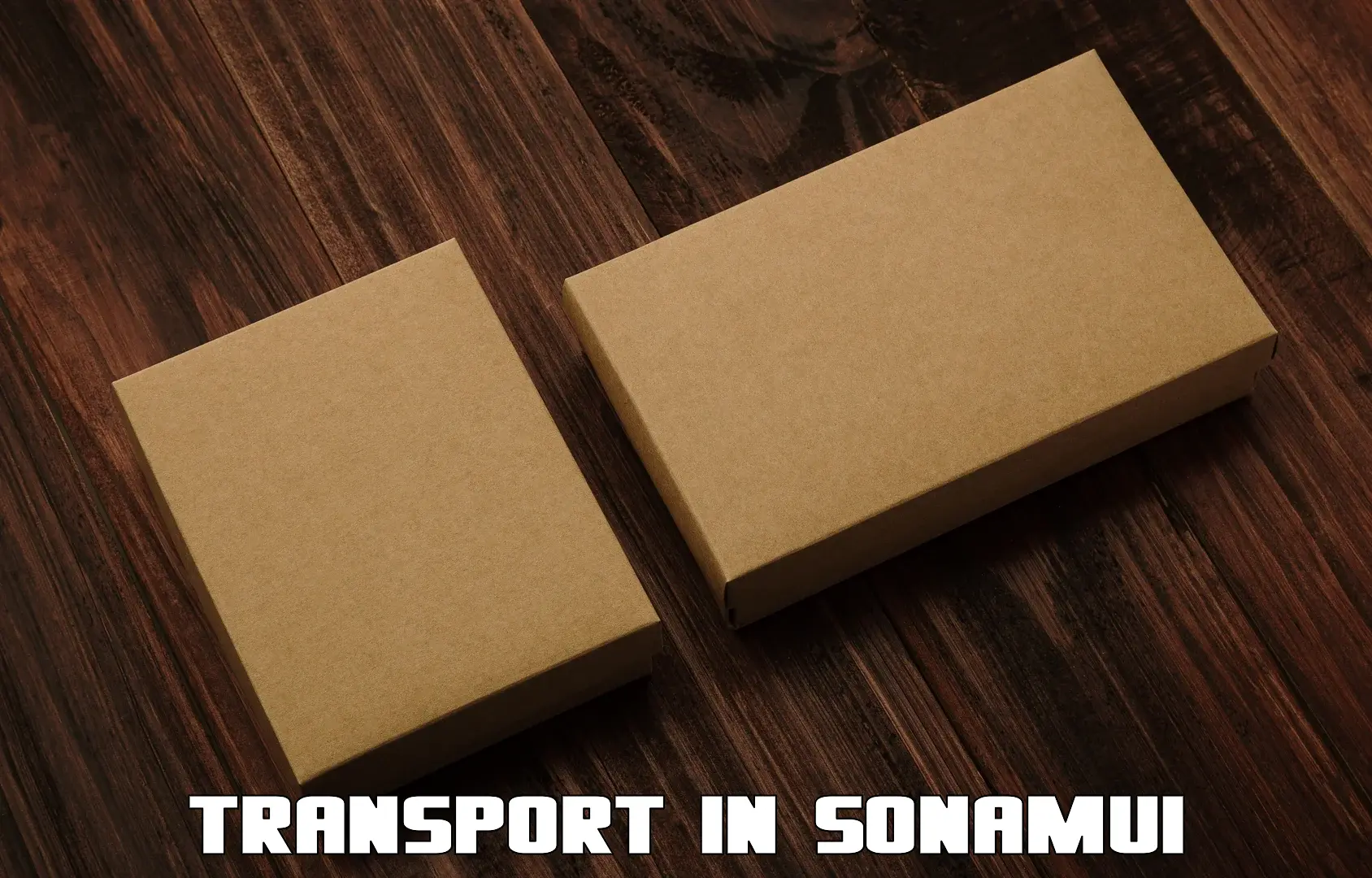 Cargo transportation services in Sonamui