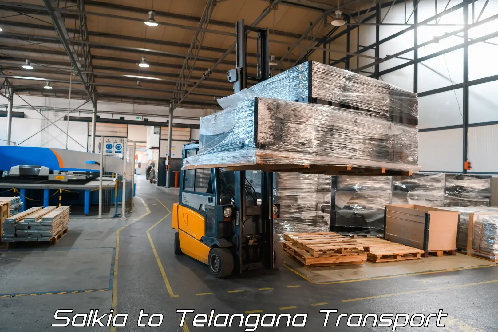 India truck logistics services Salkia to Ramannapeta