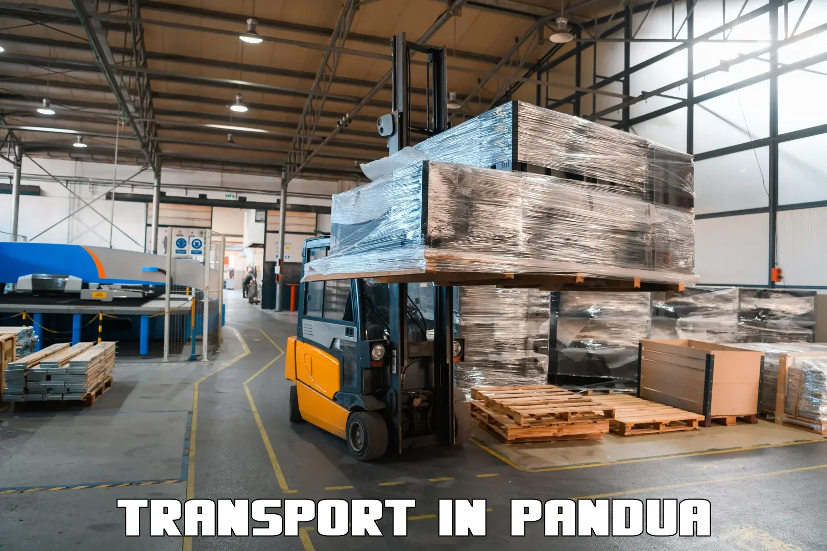 Shipping services in Pandua